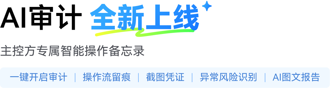 AI审计 全新上线