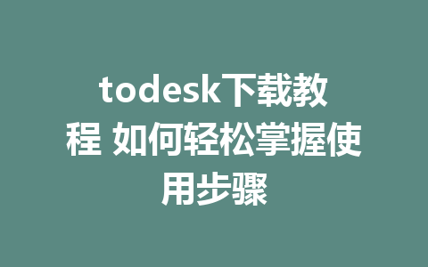 todesk下载教程 如何轻松掌握使用步骤