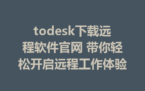 todesk下载远程软件官网 带你轻松开启远程工作体验