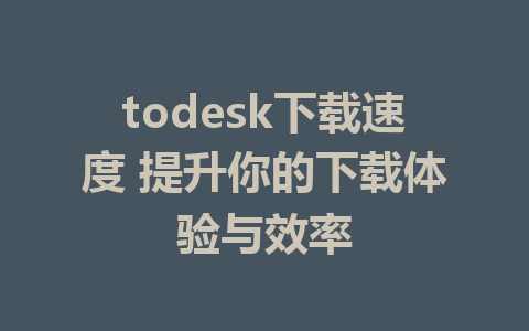 todesk下载速度 提升你的下载体验与效率