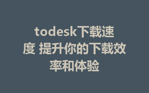 todesk下载速度 提升你的下载效率和体验